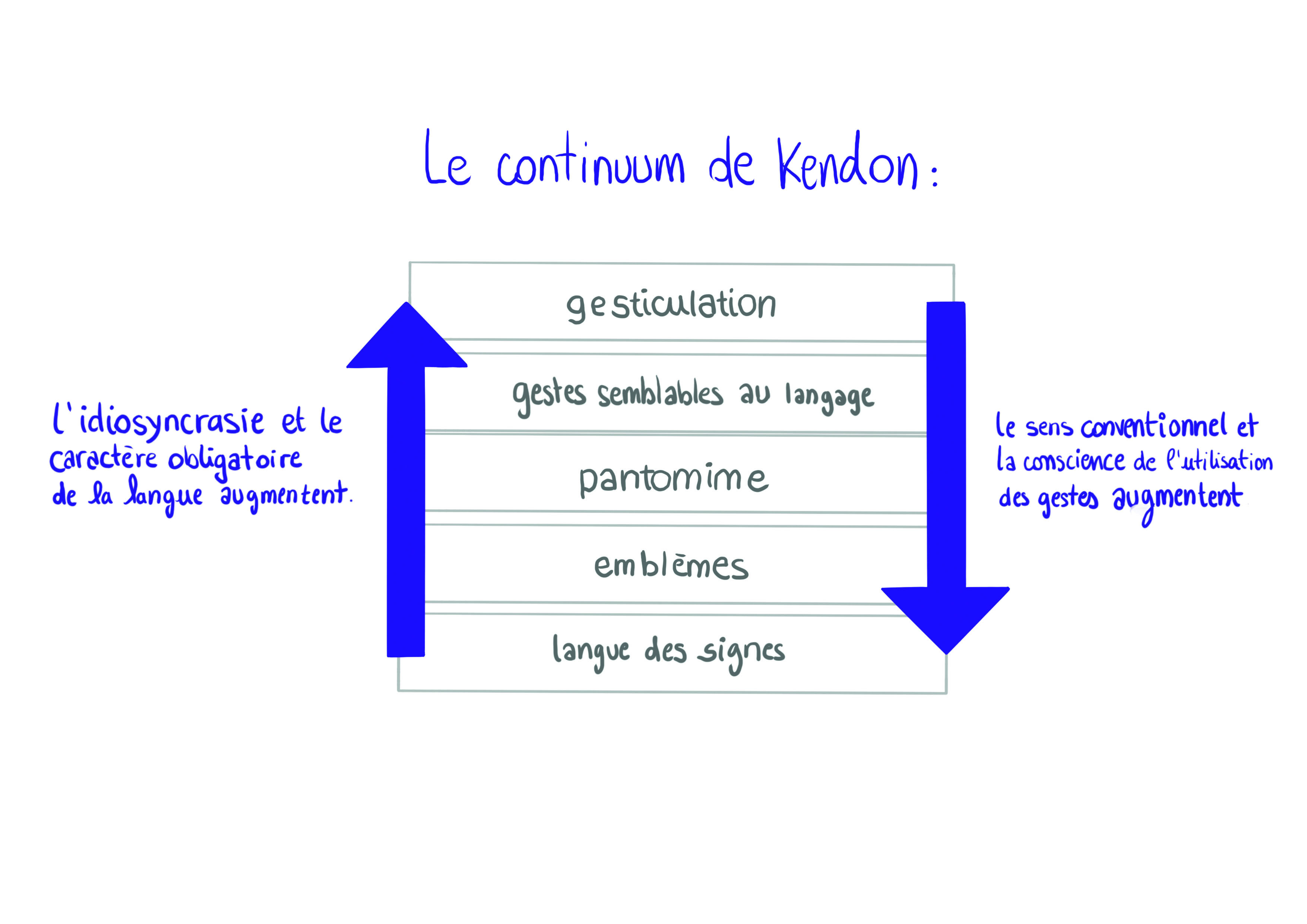 Figure 1.3. Le continuum de Kendon. Dessin représentant le continuum de Kendon. Autrice&nbsp;: Assia Musitelli Chabane, 2024&nbsp;; d’après (Kendon 1988), présenté dans (Krause 2016)