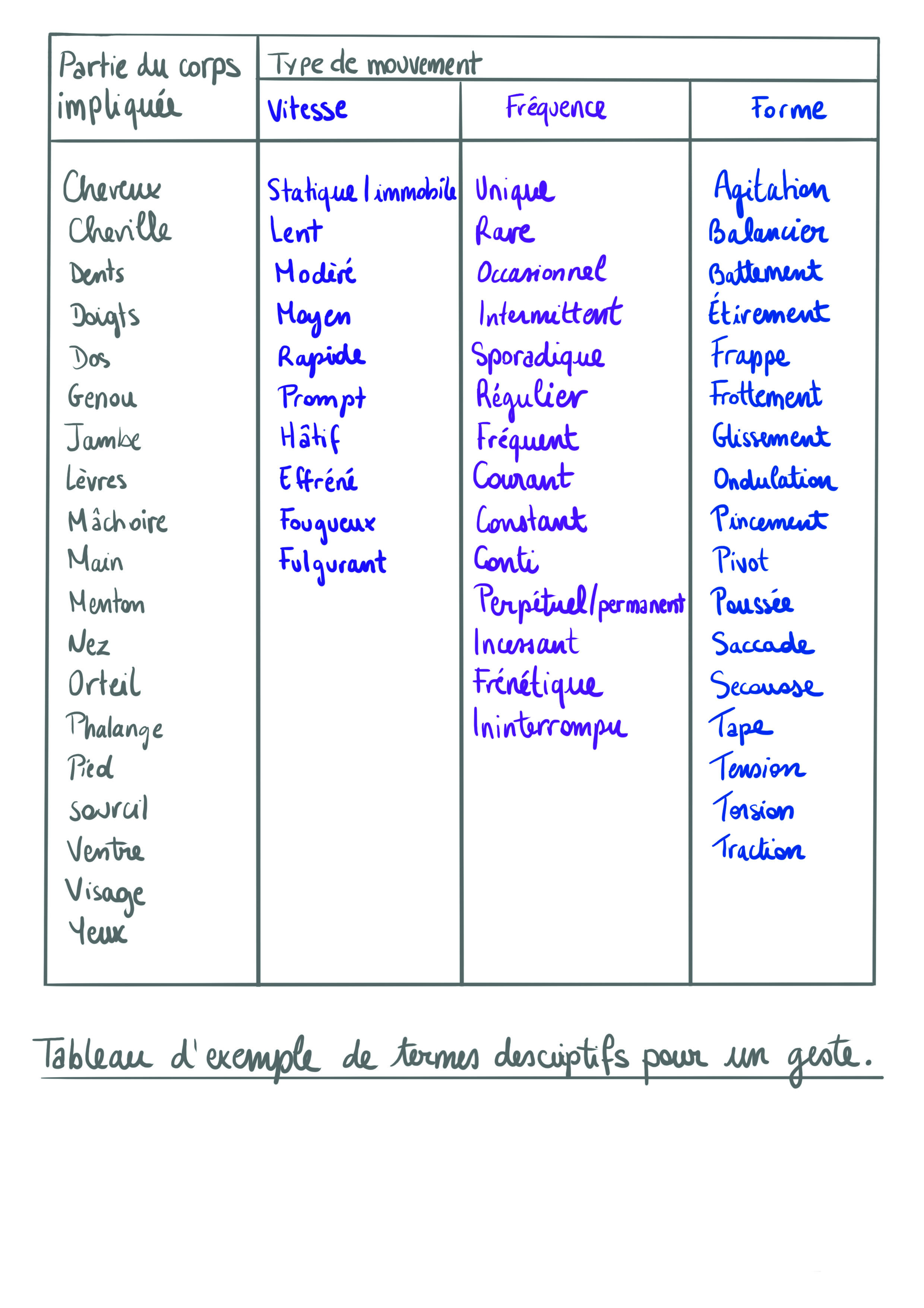 Figure 2.3. «&nbsp;Tableau d’exemple de termes descriptifs pour un geste&nbsp;». Tableau manuscrit en deux colonnes&nbsp;: partie du corps et adjectifs décrivant des types de mouvement classés par vitesse, fréquence, forme. Autrice&nbsp;: Assia Musitelli Chabane, 2024
