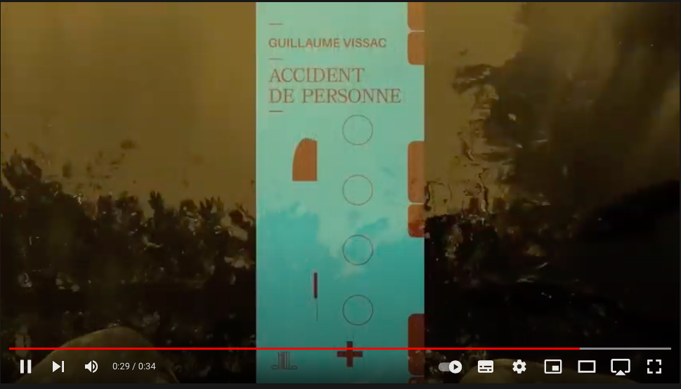 Guillaume Vissac, «&nbsp;Accident de personne*&nbsp;: “tout piétiner”&nbsp;», 1er février 2019