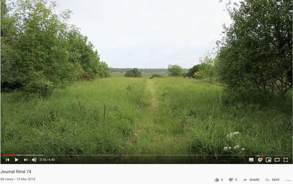 Arnaud de la Cotte, le point de vue, «&nbsp;Journal filmé 74&nbsp;», 10 mars 2018