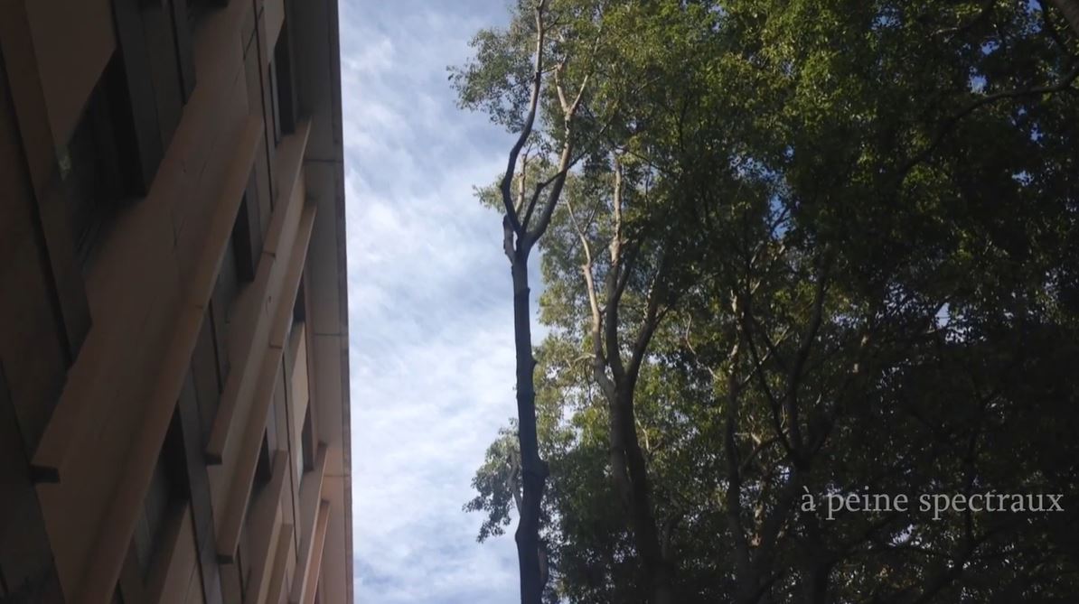 Stéphen Urani, «&nbsp;Quand les morts nous imaginent 2/2&nbsp;»