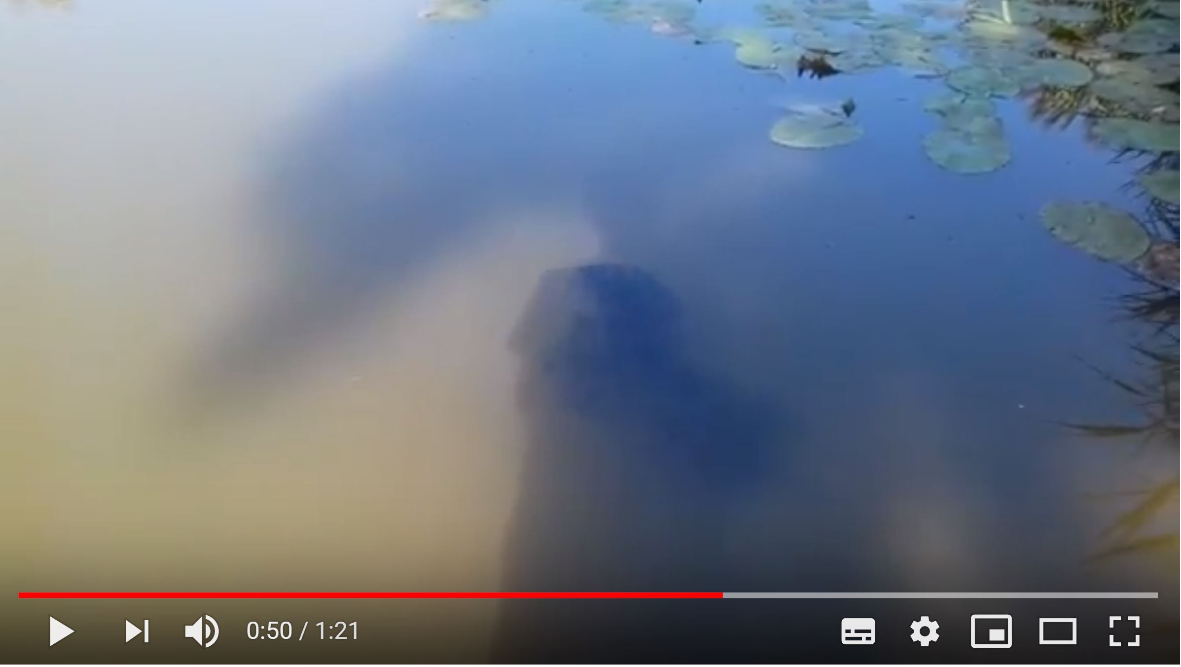 Michel Brosseau, «&nbsp;journal du 5 août&nbsp;», 17 août 2018