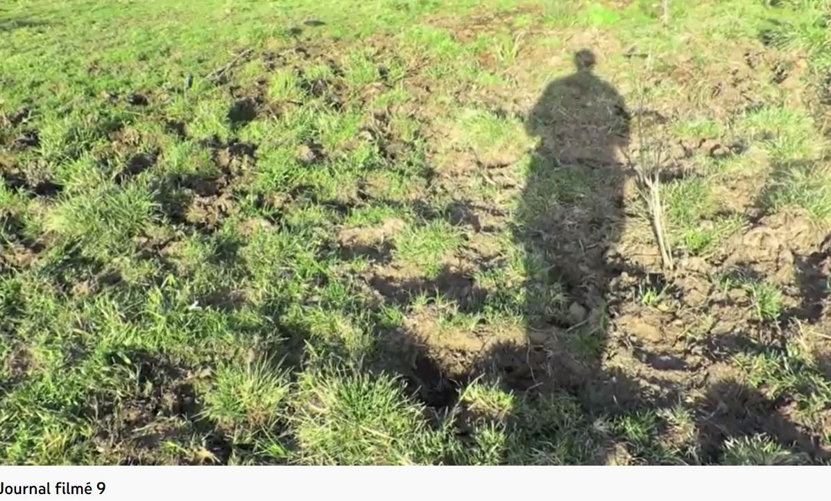Arnaud de la Cotte, «&nbsp;Journal filmé 9&nbsp;», 5 juillet 2016