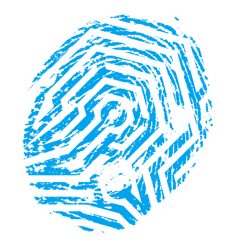 cRC écritures numériques